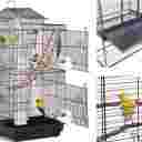 فروشگاه قفس و لوازم جانبی و دان پرندگان کسری در کرج